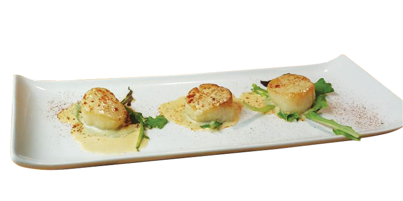 Scallops