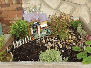 oak-park-landscape-_-water-garden-center2_150